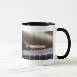Taza Mantis religiosa