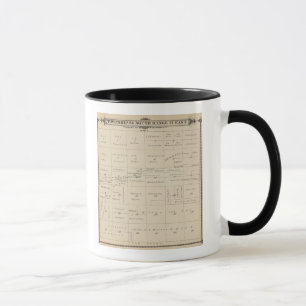 Taza Mapa de la sección del condado de Tulare T24S R21