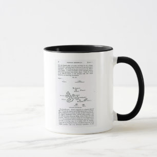 Taza Mapa del archipiélago de las Islas Galápagos, 18