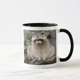 Taza Mapache