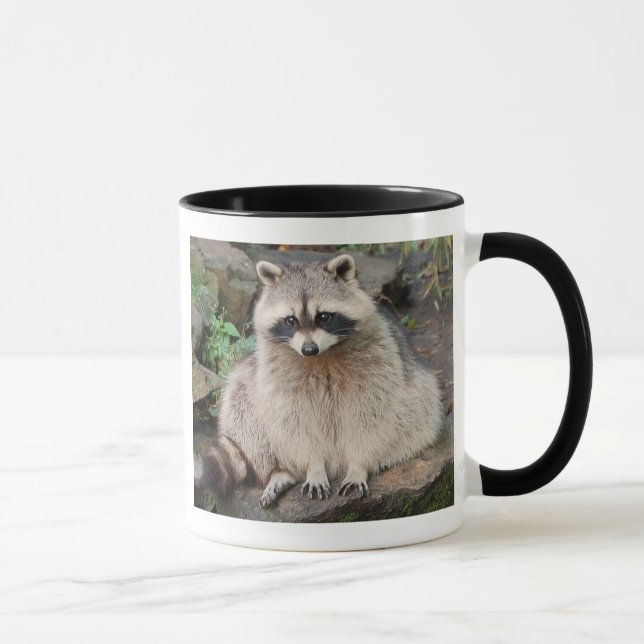 Taza Mapache (Derecha)