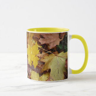 Taza Maple caído deja naturaleza otoño amarilla