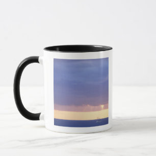 Taza Mar 4