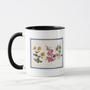 Taza Maravilla de pantano, Japonica, violeta (w/c en el