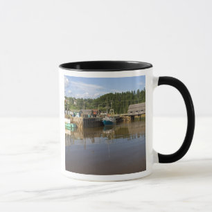 Taza Marea media en la Bahía de Fundy en St. Martins, N