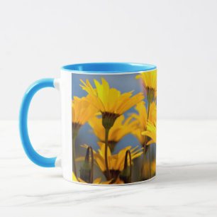 Taza Margaritas naranjas y amarillas de Namaqualand