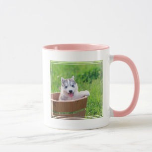 Taza Marioneta siberiana en una olla