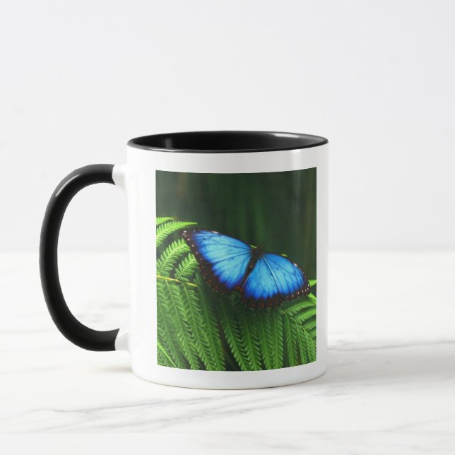 Taza mariposa (Izquierda)
