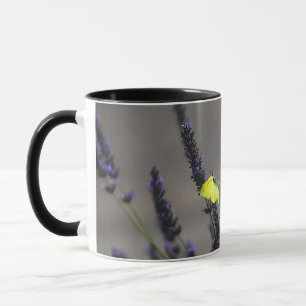 Taza Mariposa Amarilla sobre Lavanda Púrpura Foto Macro