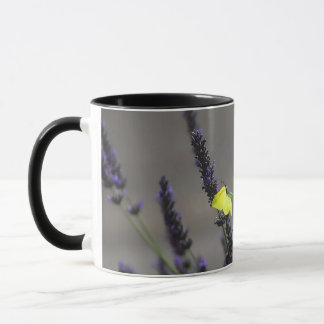 Taza Mariposa Amarilla sobre Lavanda Púrpura Foto Macro