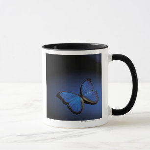 Taza Mariposa azul