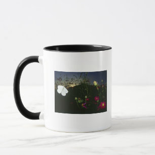 Taza Mariposa blanca en vuelo en la puesta del sol