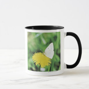 Taza Mariposa blanca que alimenta en un diente de león