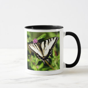 Taza Mariposa de Swallowtail del tigre. Papilio glacus.