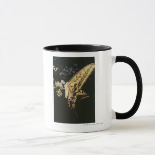 Taza Mariposa de Swallowtail en la flor, cierre para