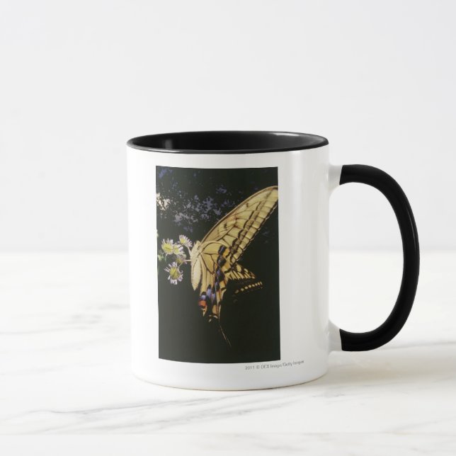 Taza Mariposa de Swallowtail en la flor, cierre para (Derecha)