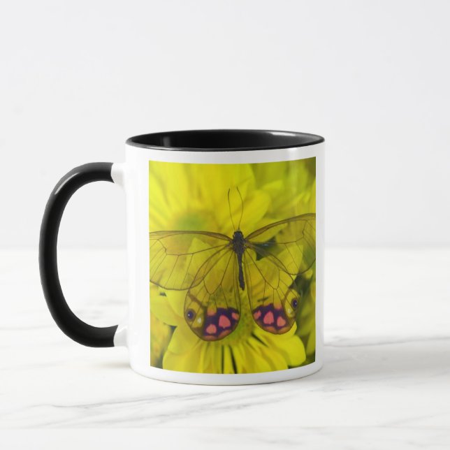 Taza Mariposa en amarillo (Izquierda)