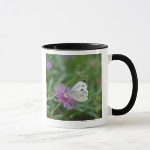 Taza Mariposa en la flor