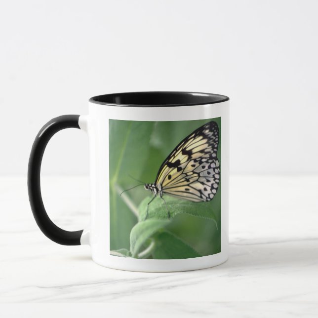 Taza Mariposa en la hoja (Izquierda)