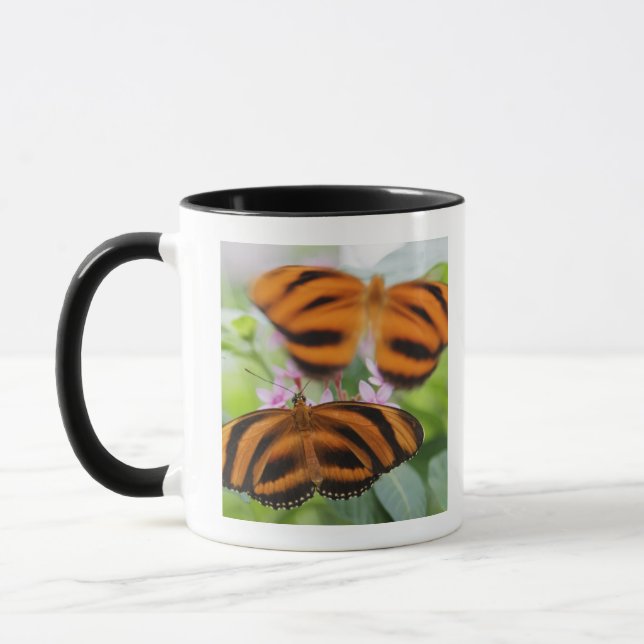 Taza Mariposa larga 2 del ala de la cebra (Izquierda)