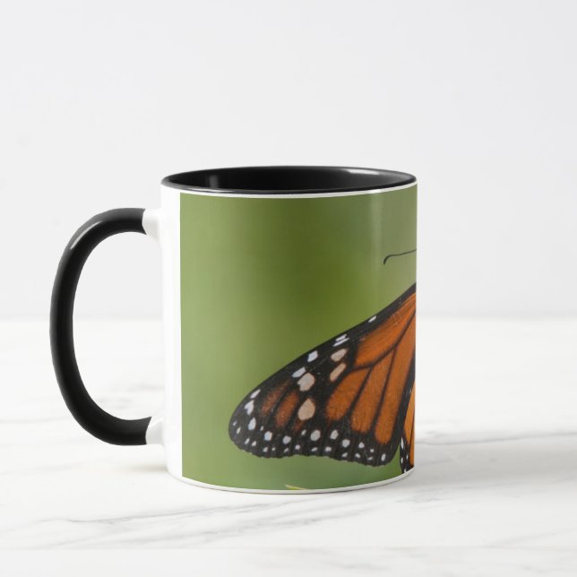 Taza Mariposa Monarca macho en Algodoncillo de Pantano (Izquierda)