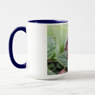 Taza Mariposa morfa azul