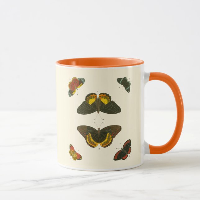 Taza Mariposas brillantes por Pieter Cramer (Derecha)