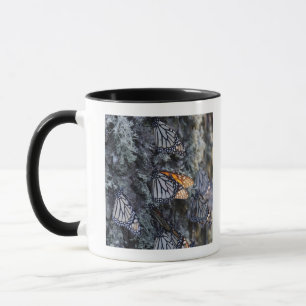 Taza Mariposas de monarca en el árbol de pino, Sierra