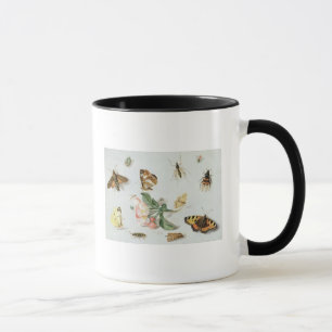 Taza Mariposas, polillas y otros insectos