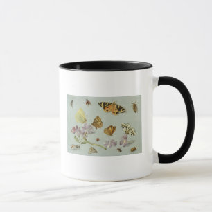 Taza Mariposas, polillas y otros insectos