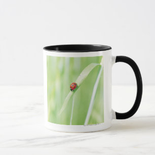 Taza Mariquita