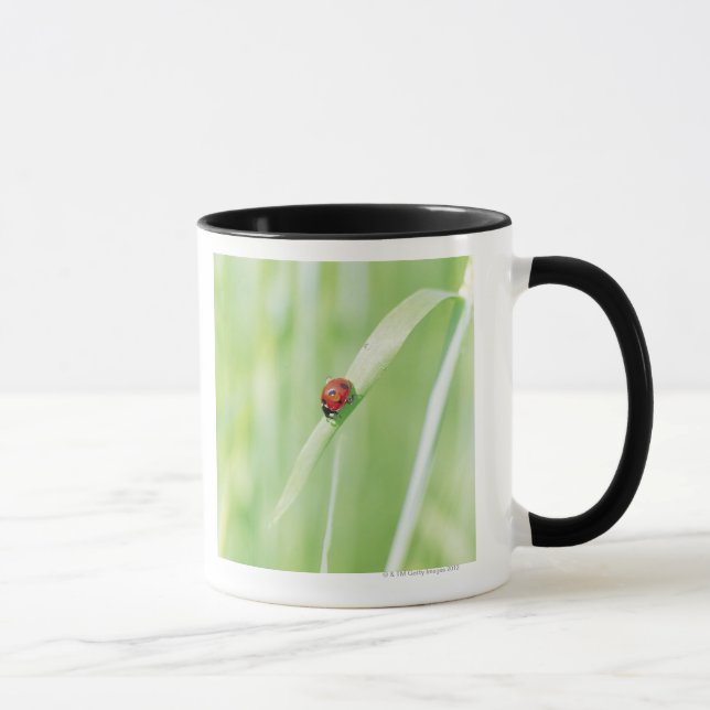 Taza Mariquita (Derecha)