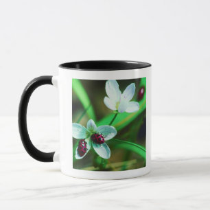 Taza Mariquita