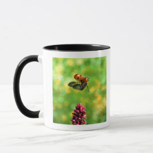Taza mariquita