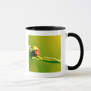 Taza Mariquita en puntilla