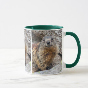 Taza Marmota Alpina