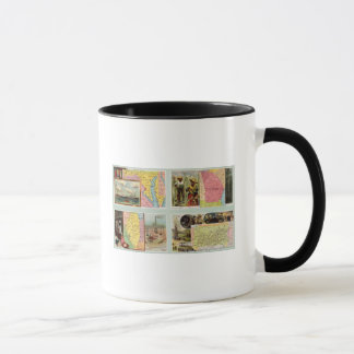 Taza Maryland, Georgia, Illinois, Pennsylvania