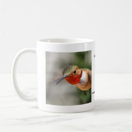 Taza masculina del colibrí de Allen