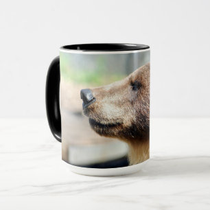 Taza Máster Bruin