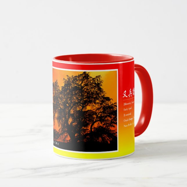 Taza Matabei-Zakura Weeping Cherry Tree (Anverso derecho)