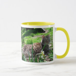 Taza ME ENCANTA Maine Coons