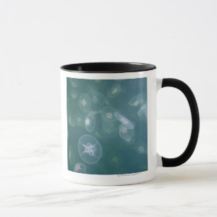 Taza Medusas de la luna