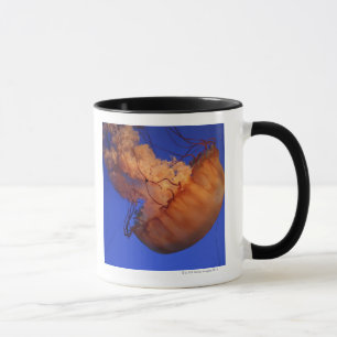 Taza Medusas de la ortiga del mar
