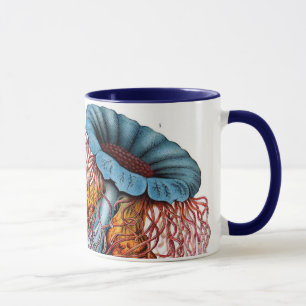 Taza Medusas vintage de Ernst Haeckel, Discomedusae