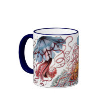 Medusas vintage de Ernst Haeckel, Discomedusae