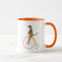Meerkat sobre la Naranja Penny Farthing