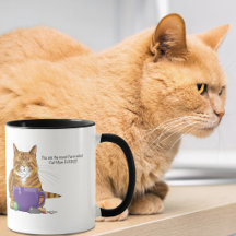 ¡Mejor Mamá de Gato de Todos los Tiempos!