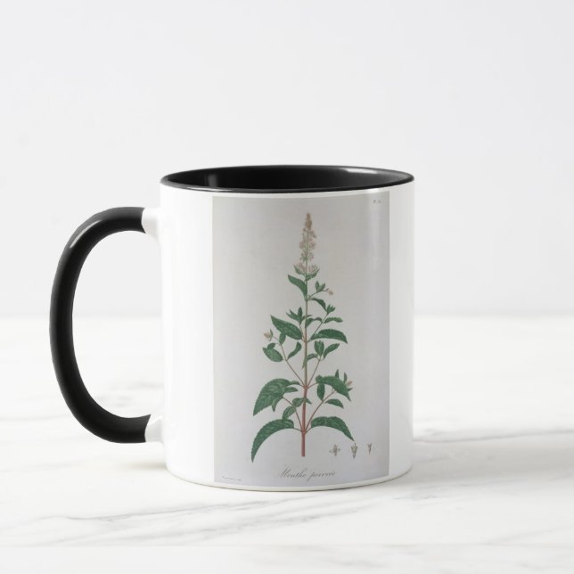 Taza Mentha Piperita de "Phytographie Medicale" por Jo (Izquierda)