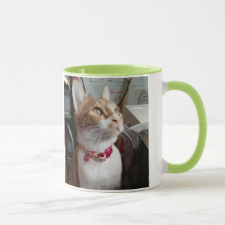 Taza Meowww