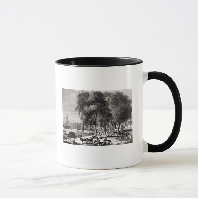 Taza Mercado de pescados, Paramribo (Derecha)